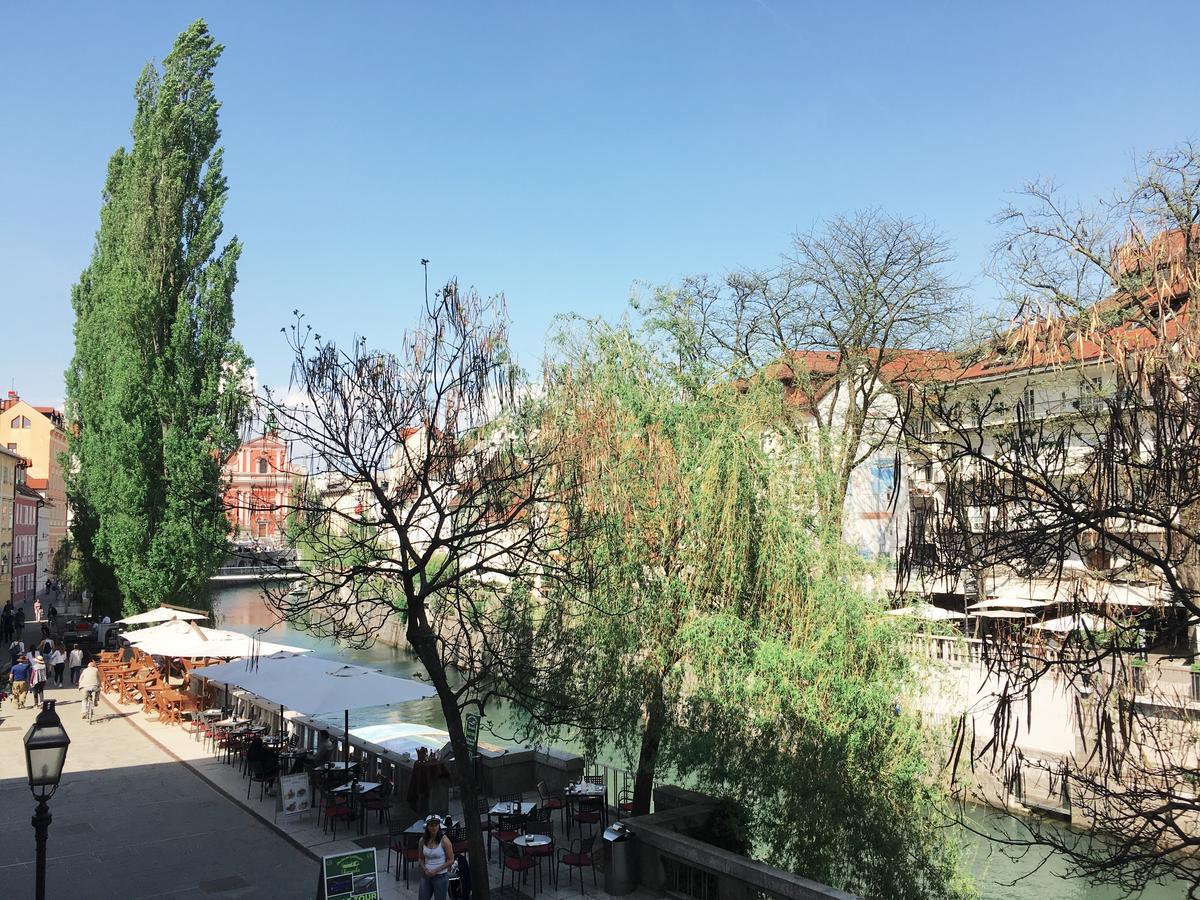 River And Castle View Apartment Rose Tour As Ljubljana Ngoại thất bức ảnh