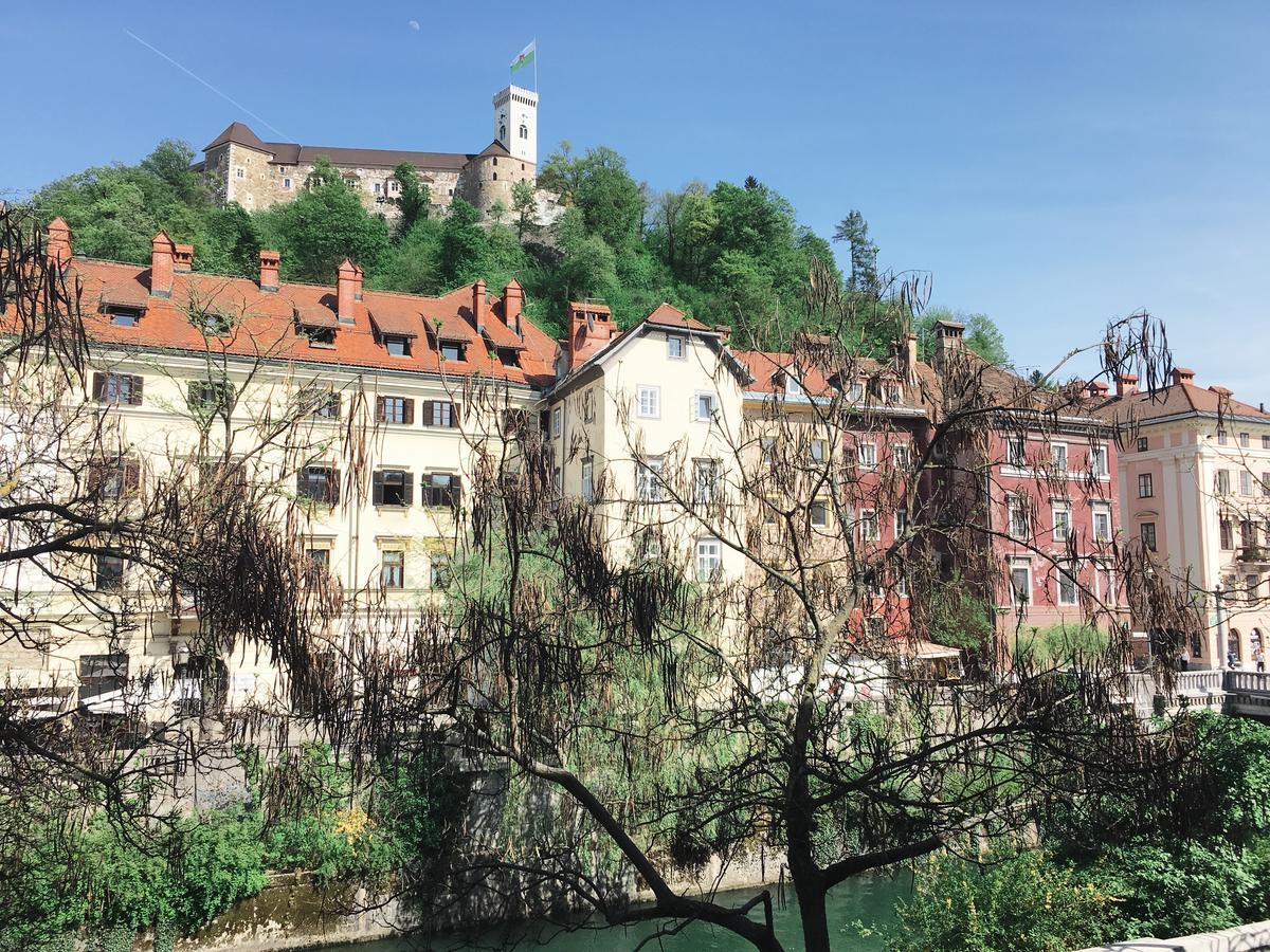 River And Castle View Apartment Rose Tour As Ljubljana Ngoại thất bức ảnh